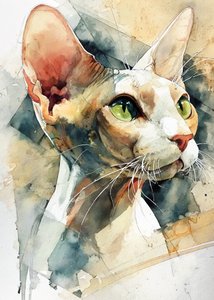 Grünäugiger Sphynx