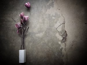 Stimmungsvolle Lila Blumen Beton von Kahar Lagaa