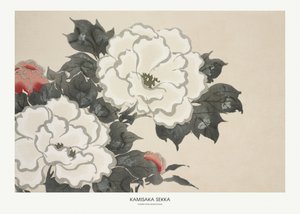 Blumen aus Momoyogusa