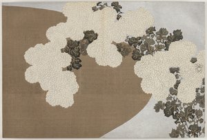 Blumen von hundert Welten (Momoyogusa): Chrysanthemen (Momoyogusa)
