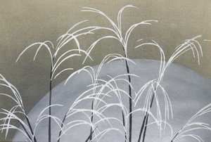 Frost aus Momoyogusa