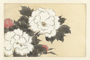 Pfingstrosen von Kamisaka Sekka