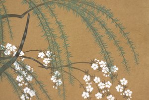 Yanagi Sakura, aus Momoyo-gusa