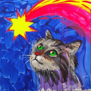 Neugierige Katze beim Sternegucken