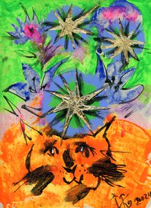 Verspielte Sternenkatze