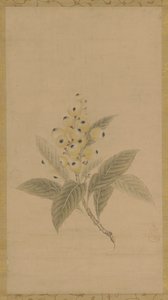 Ein Zweig mit Mispeln, Edo-Periode, 17. Jahrhundert von Kanō Tan’yū