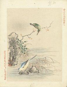 Eisvogel schaut auf Vogel am Wasser von Kano Tsunenobu