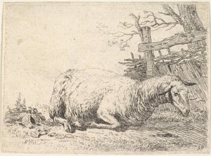 Ein Schaf liegt mit untergeschlagenen Beinen neben einem Holzzaun, ca. 1655