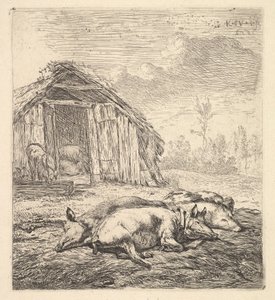 Drei Schweine, die auf der Seite liegen, 1652
