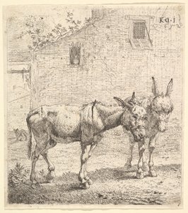 Zwei Esel, die in einem grasbewachsenen Hof stehen, einer im Profil nach rechts und ein anderer dahinter (1652)