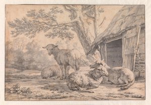 Schafe bei einer Scheune von Karel Dujardin
