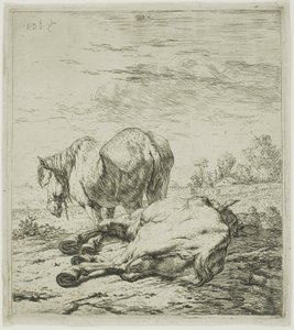 Zwei Pferde von Karel Dujardin
