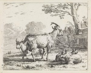 Vier Ziegen von Karel Dujardin