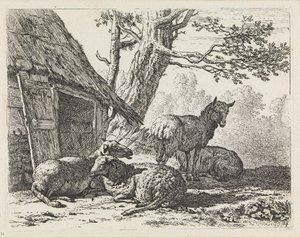 Vier Schafe von Karel Dujardin