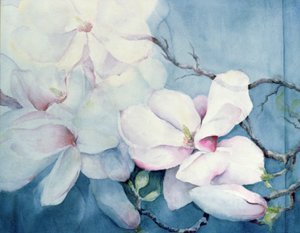 Magnolie Soulangeana (horizontal) von Karen Armitage