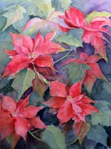 Weihnachtsstern von Karen Armitage