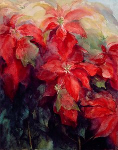 Rote Weihnachtssterne von Karen Armitage