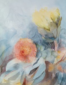 Südafrika Protea