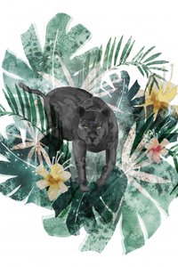 Geheimnisvoller Dschungelpanther