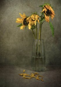  von Karen Smalley