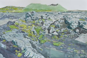 Moosige Vulkanlandschaft
