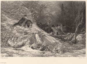 Im Schutz vor dem Frost von Karl Bodmer