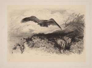  von Karl Bodmer