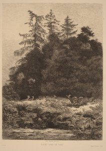 Damhirsche in einem Park von Karl Bodmer