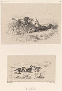 Studien von Karl Bodmer