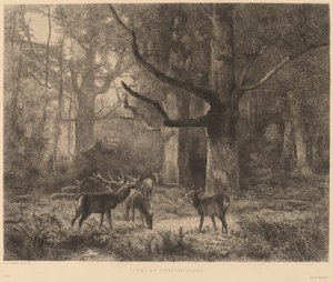 Wald von Fontainebleau
