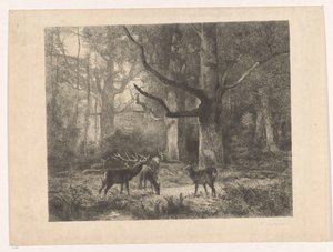 Hirsche im Wald