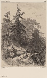 Die Fasane von Karl Bodmer