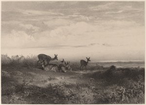 Die Hirsche von Karl Bodmer