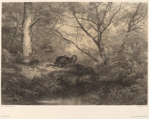 Wildschweine von Karl Bodmer