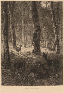 Rückkehr nach Hause