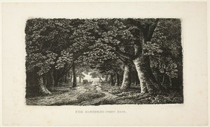 Waldweg mit Kutsche