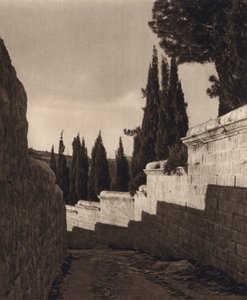 Jerusalem, Garten Gethsemane von Karl Grober