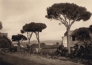Libanon, Landschaft von Karl Grober