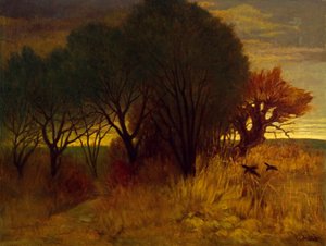 Moorlandschaft von Karl Haider