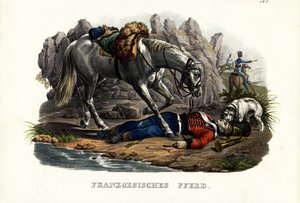 Französisches Pferd, 1824 von Karl Joseph Brodtmann