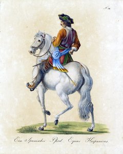 Das spanische Pferd