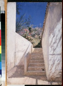 Die Treppe im Garten, Algerien