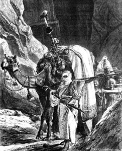 Köpfe der Rebellen