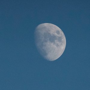 Schau zum Mond, 2021 (Foto)