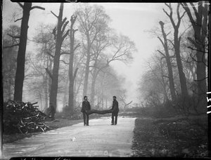 Kensington Gardens, Hyde Park, City Of Westminster, London von Katherine Jean Macfee