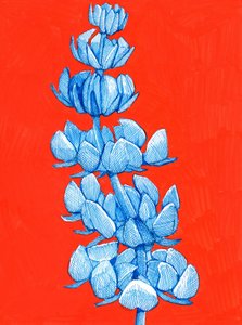 Ausdrucksstarke blaue Blüte von Katie O'Shea