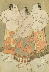 Ganzkörperporträts der Ringer Nishikigi, Todagawa und Iwagaseki, die sich im Ring präsentieren