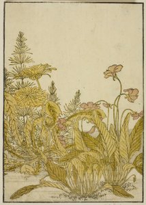 Frühlingsblumen: Veilchen und Löwenzahn, aus dem Buch "Spiegel der schönen Frauen der Vergnügungsviertel (Seiro bijin awase sugata kagami)," Bd. 1