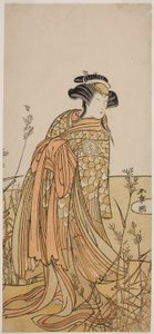 Der Schauspieler Segawa Kikunojo III als Geist einer Mandarinente (Oshidori) verkleidet als Tagasode, im Stück Hana-zumo Genji Hiiki, aufgeführt im Nakamura-Theater im elften Monat, 1775 von Katsukawa Shunsho