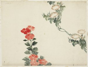 Morgenröte und rote Blumen